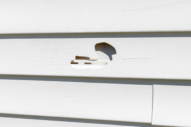 Best Shed Removal  in Gordon, NE